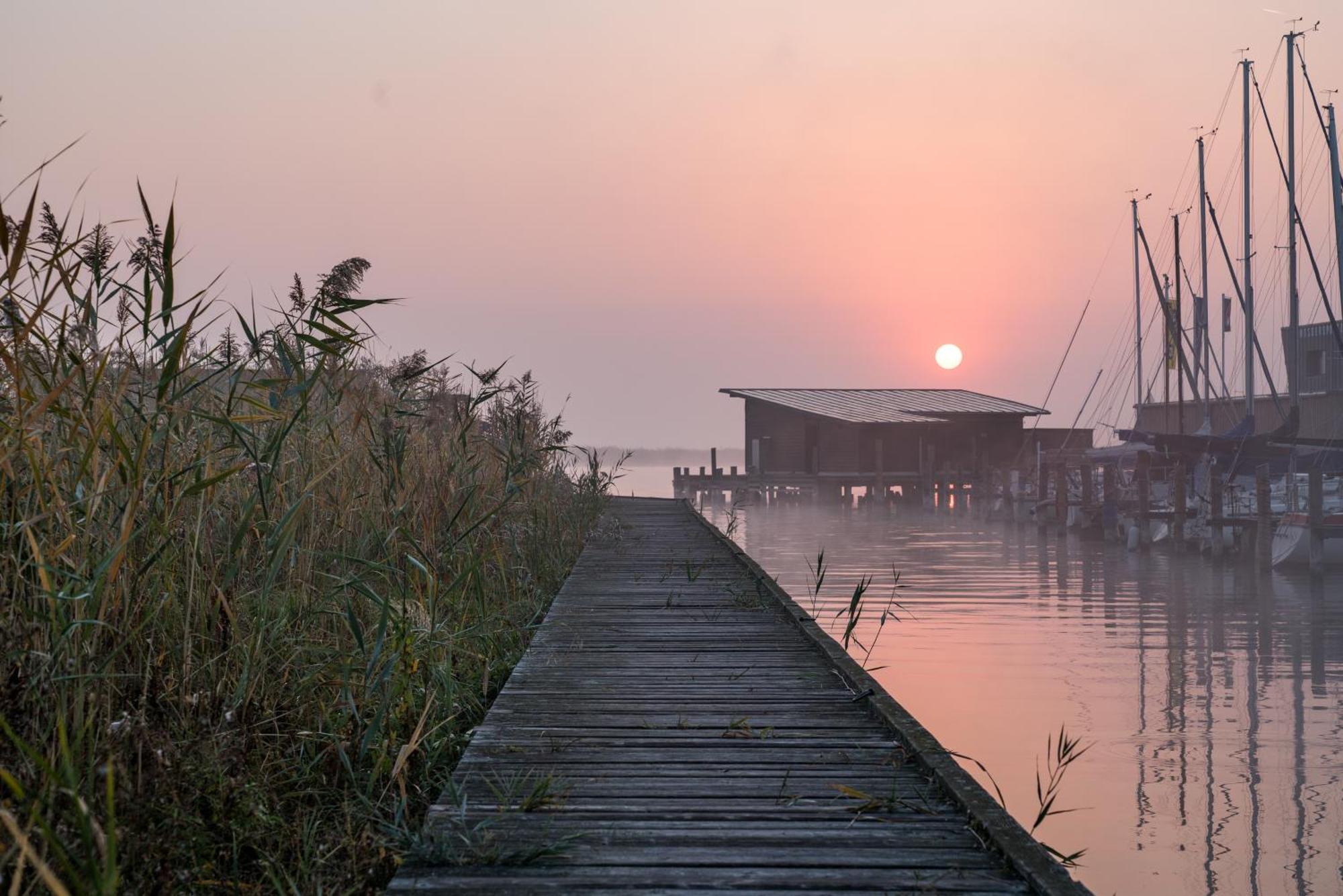 Pannonia Apartments Mörbisch am See Exteriör bild
